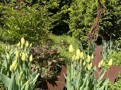 Hostagarten im Frühling