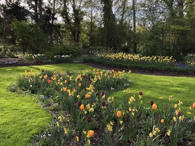 Hostagarten im Frühling