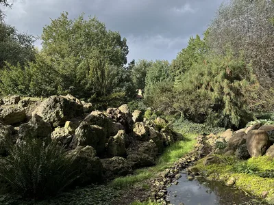 Hostagarten im Herbst