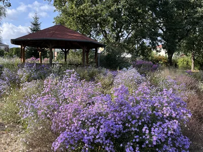 Hostagarten im Herbst