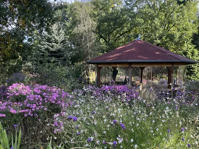 Hostagarten im Herbst