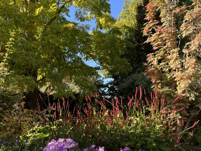 Hostagarten im Herbst