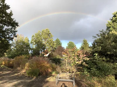 Hostagarten im Herbst