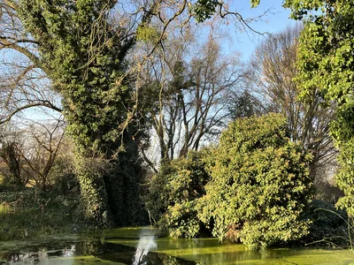 Hostagarten im Herbst