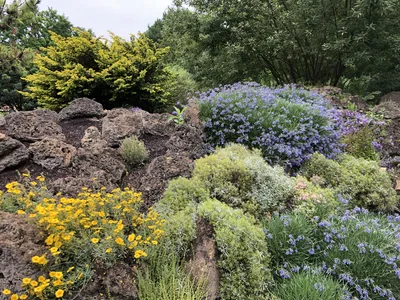 Hostagarten im Sommer