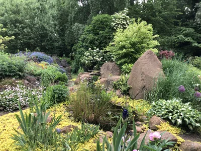 Hostagarten im Sommer