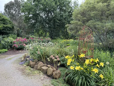 Hostagarten im Sommer