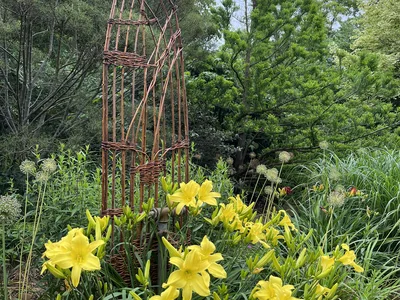 Hostagarten im Sommer