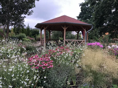 Hostagarten im Sommer