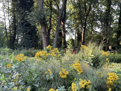 Hostagarten im Sommer