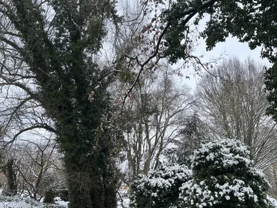 Hostagarten im Winter