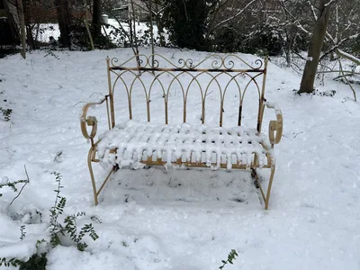 Hostagarten im Winter