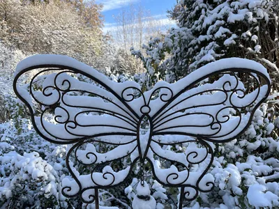 Hostagarten im Winter